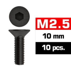 Ultimate Racing UR1612510 M2,5x10mm Flat Head Screws (10 pcs)