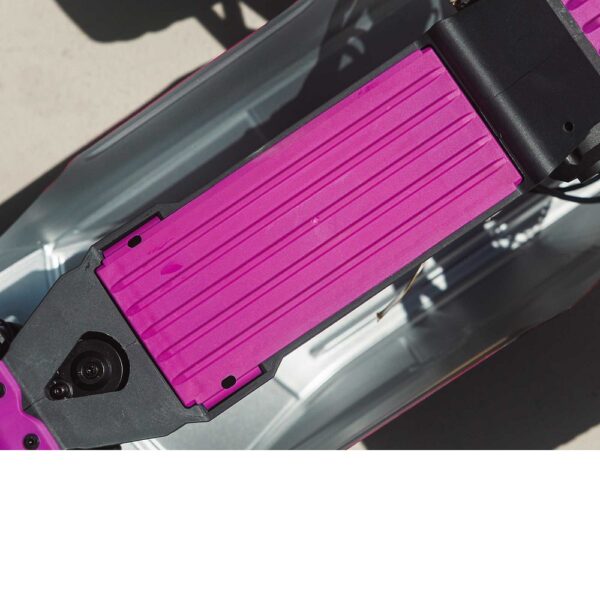 ARRMA ARA3230ST4 1/10 GORGON MEGA 550 2WD MT with Battery & Charger Purple - Image 20
