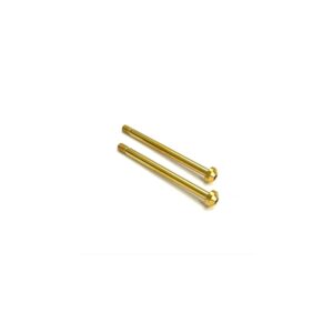 R1 Wurks R1W-990058 TITANIUM NITRIDE COATED REAR OUTER HINGE PIN SCREWS – PR (AE B6, T6, SC6, B74, B7 OR R1 DC1)